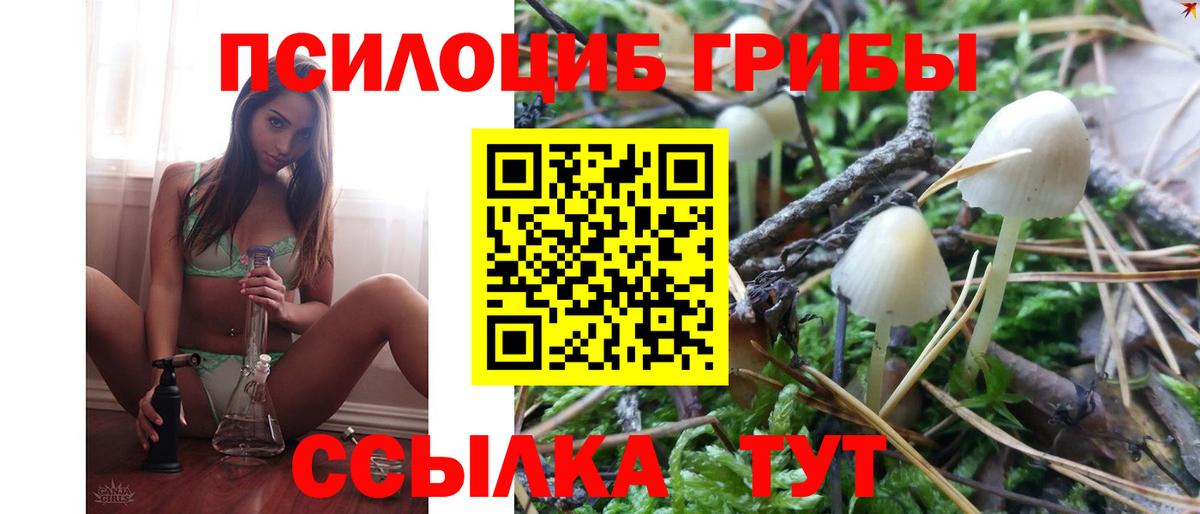 дарнет шоп  Псилоцибиновые грибы ЛСД  Вход с VPN  Анапа 