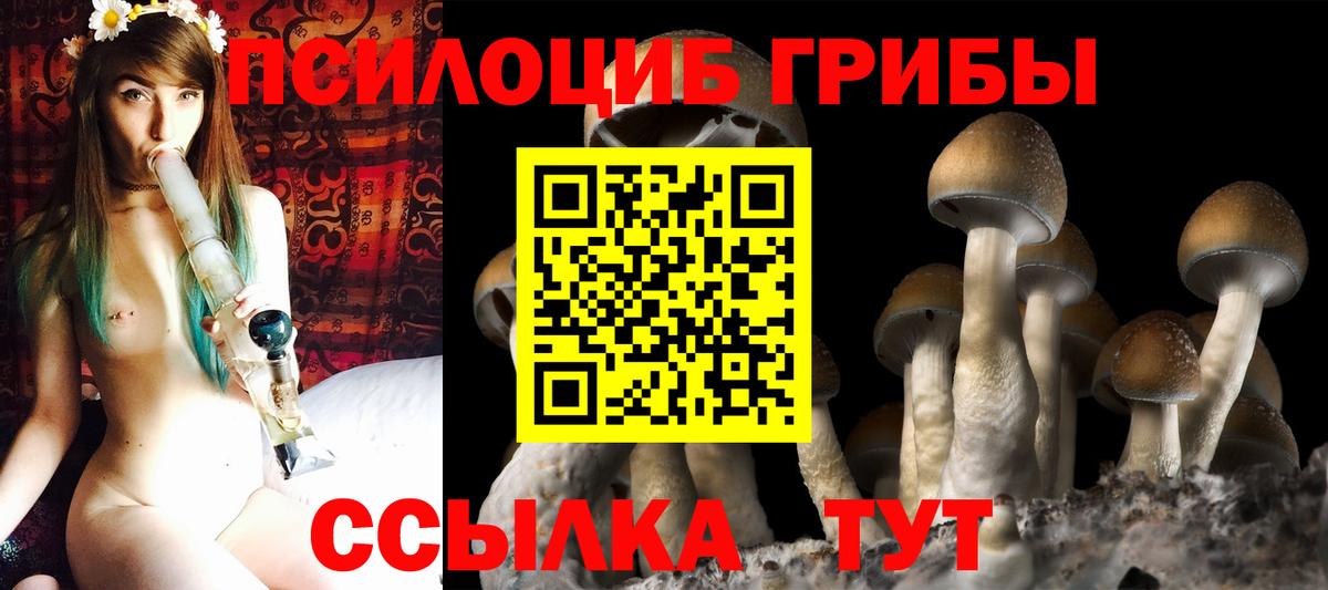 Псилоцибиновые грибы ЛСД Анапа